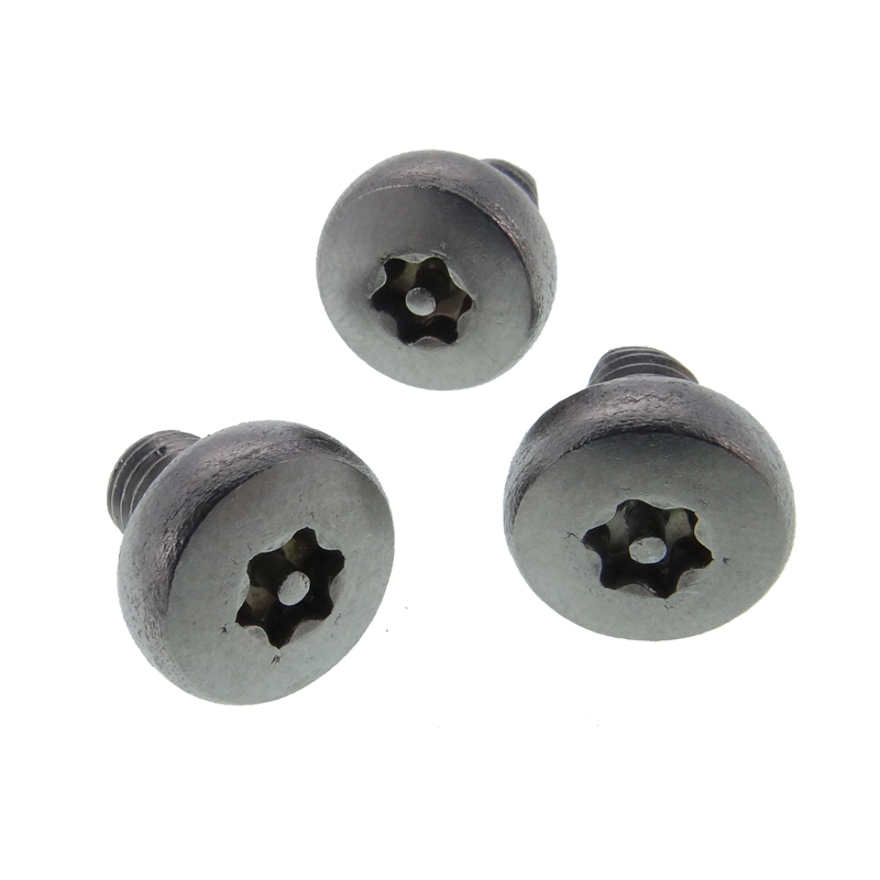 torx micro screws