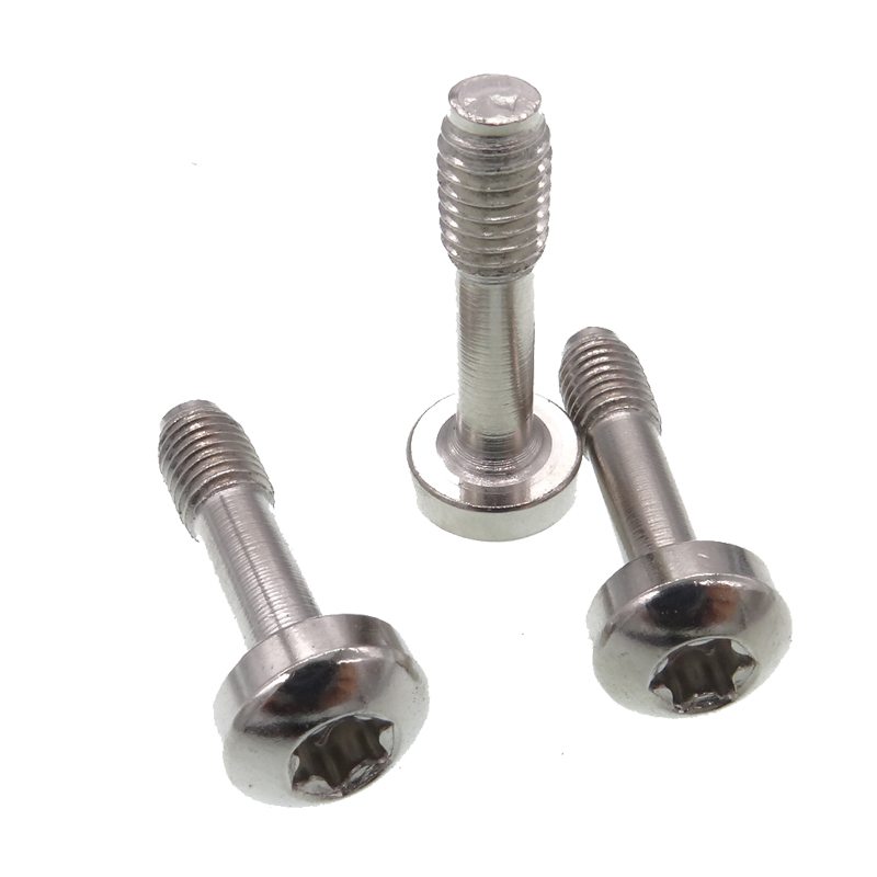 security captive screw supplier